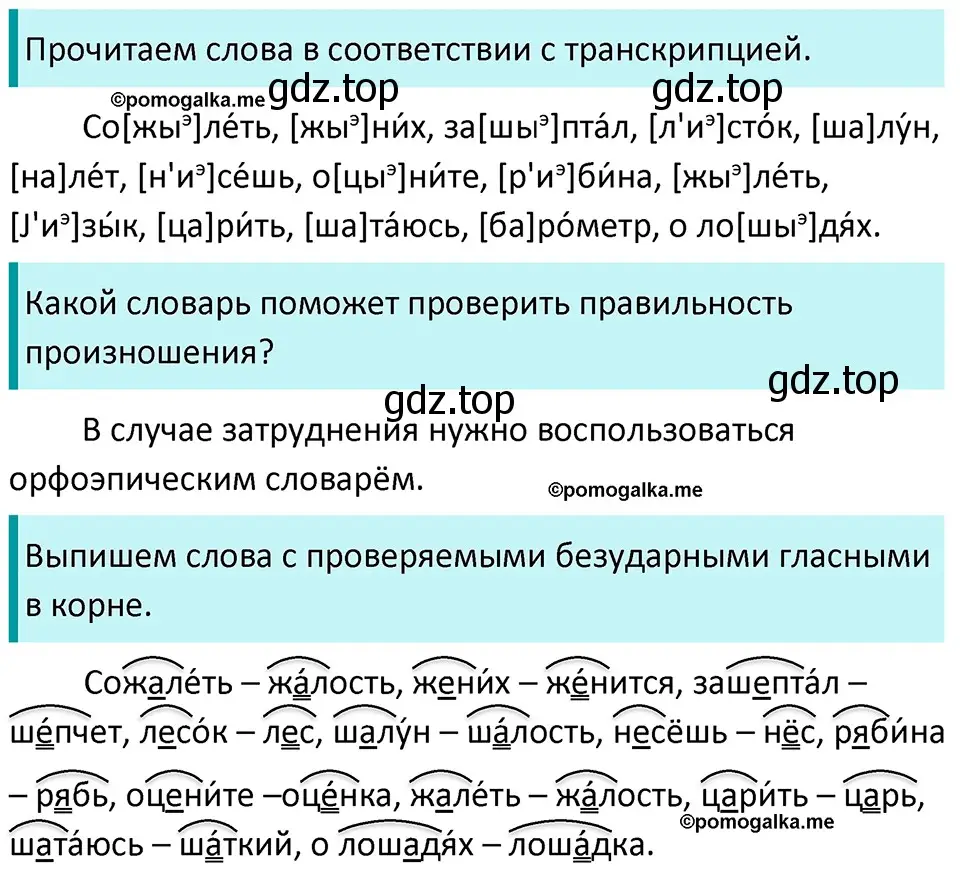 Решение 3. номер 213 (страница 72) гдз по русскому языку 5 класс Разумовская, Львова, учебник 1 часть