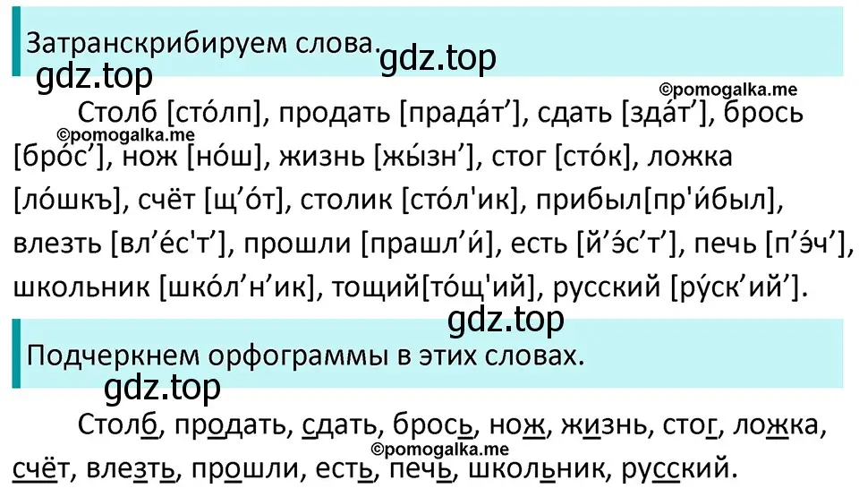 Решение 3. номер 22 (страница 14) гдз по русскому языку 5 класс Разумовская, Львова, учебник 1 часть