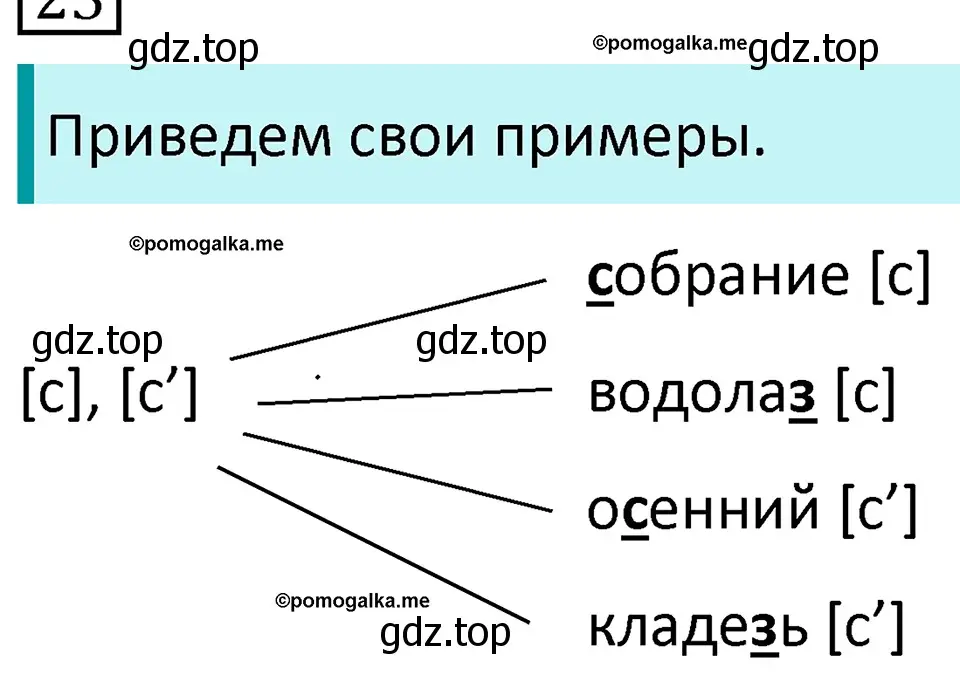 Решение 3. номер 23 (страница 14) гдз по русскому языку 5 класс Разумовская, Львова, учебник 1 часть