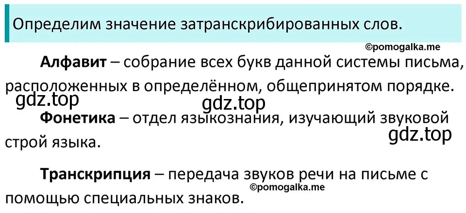 Решение 3. номер 24 (страница 15) гдз по русскому языку 5 класс Разумовская, Львова, учебник 1 часть