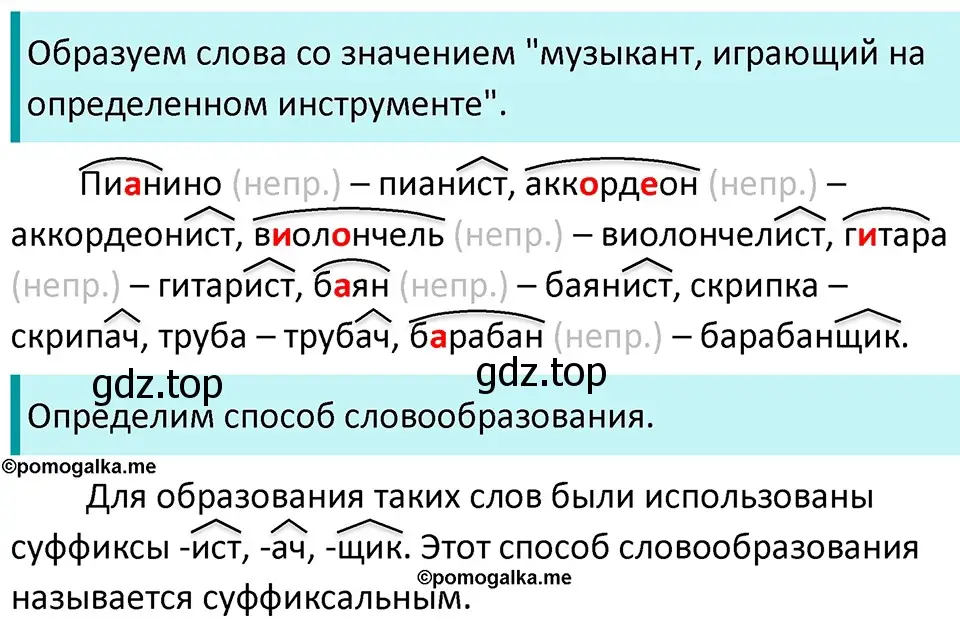 Решение 3. номер 241 (страница 81) гдз по русскому языку 5 класс Разумовская, Львова, учебник 1 часть