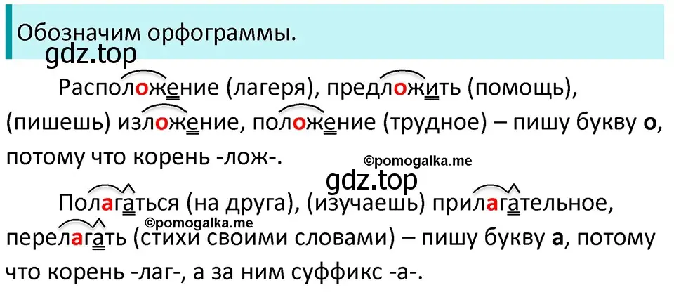 Решение 3. номер 264 (страница 87) гдз по русскому языку 5 класс Разумовская, Львова, учебник 1 часть