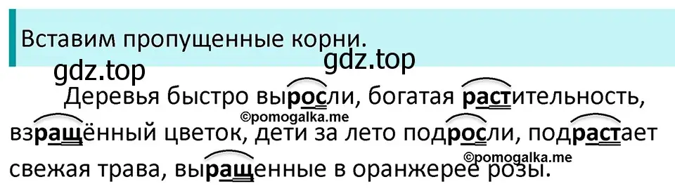 Решение 3. номер 266 (страница 88) гдз по русскому языку 5 класс Разумовская, Львова, учебник 1 часть