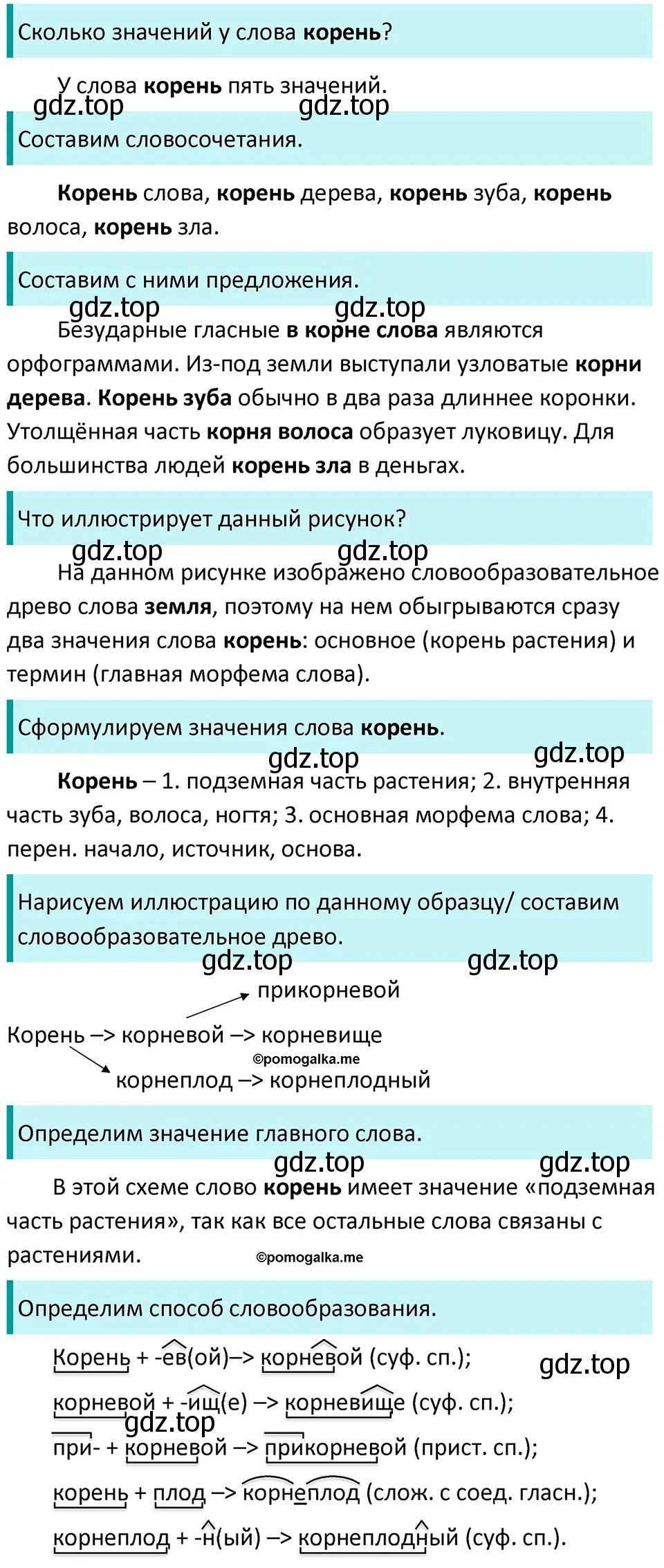 Решение 3. номер 308 (страница 99) гдз по русскому языку 5 класс Разумовская, Львова, учебник 1 часть