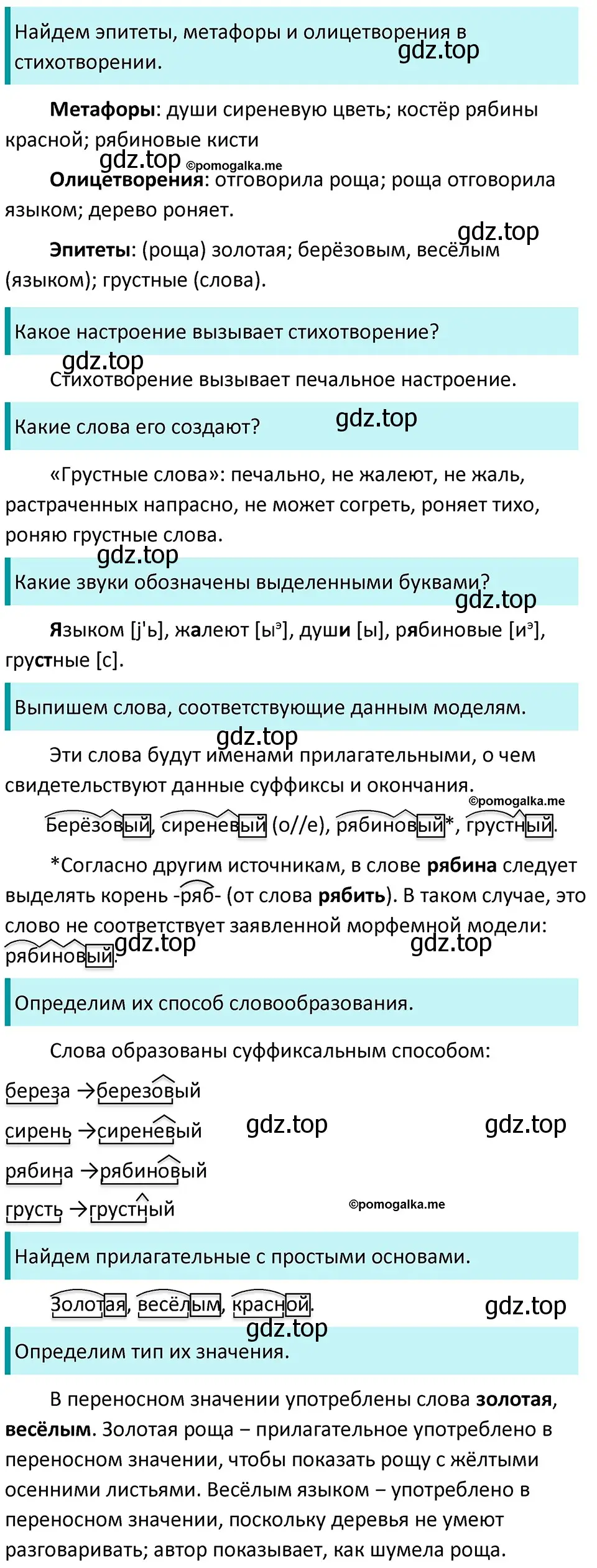 Решение 3. номер 317 (страница 104) гдз по русскому языку 5 класс Разумовская, Львова, учебник 1 часть