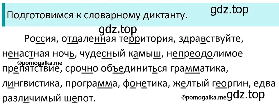 Решение 3. номер 335 (страница 110) гдз по русскому языку 5 класс Разумовская, Львова, учебник 1 часть