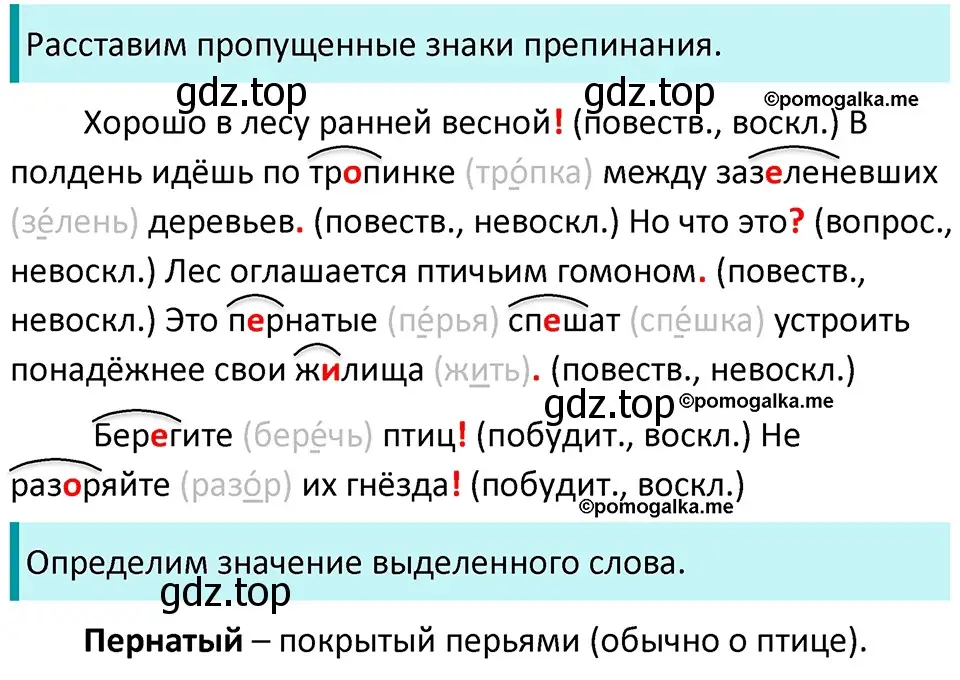 Решение 3. номер 406 (страница 17) гдз по русскому языку 5 класс Разумовская, Львова, учебник 2 часть