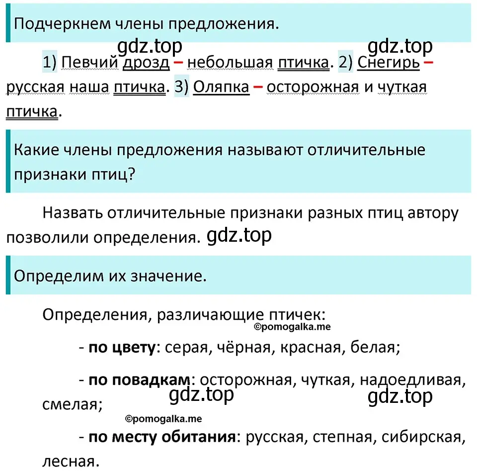 Решение 3. номер 443 (страница 28) гдз по русскому языку 5 класс Разумовская, Львова, учебник 2 часть