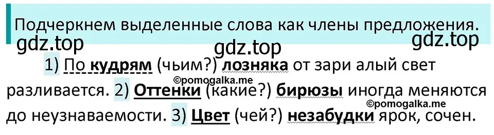 Решение 3. номер 446 (страница 28) гдз по русскому языку 5 класс Разумовская, Львова, учебник 2 часть