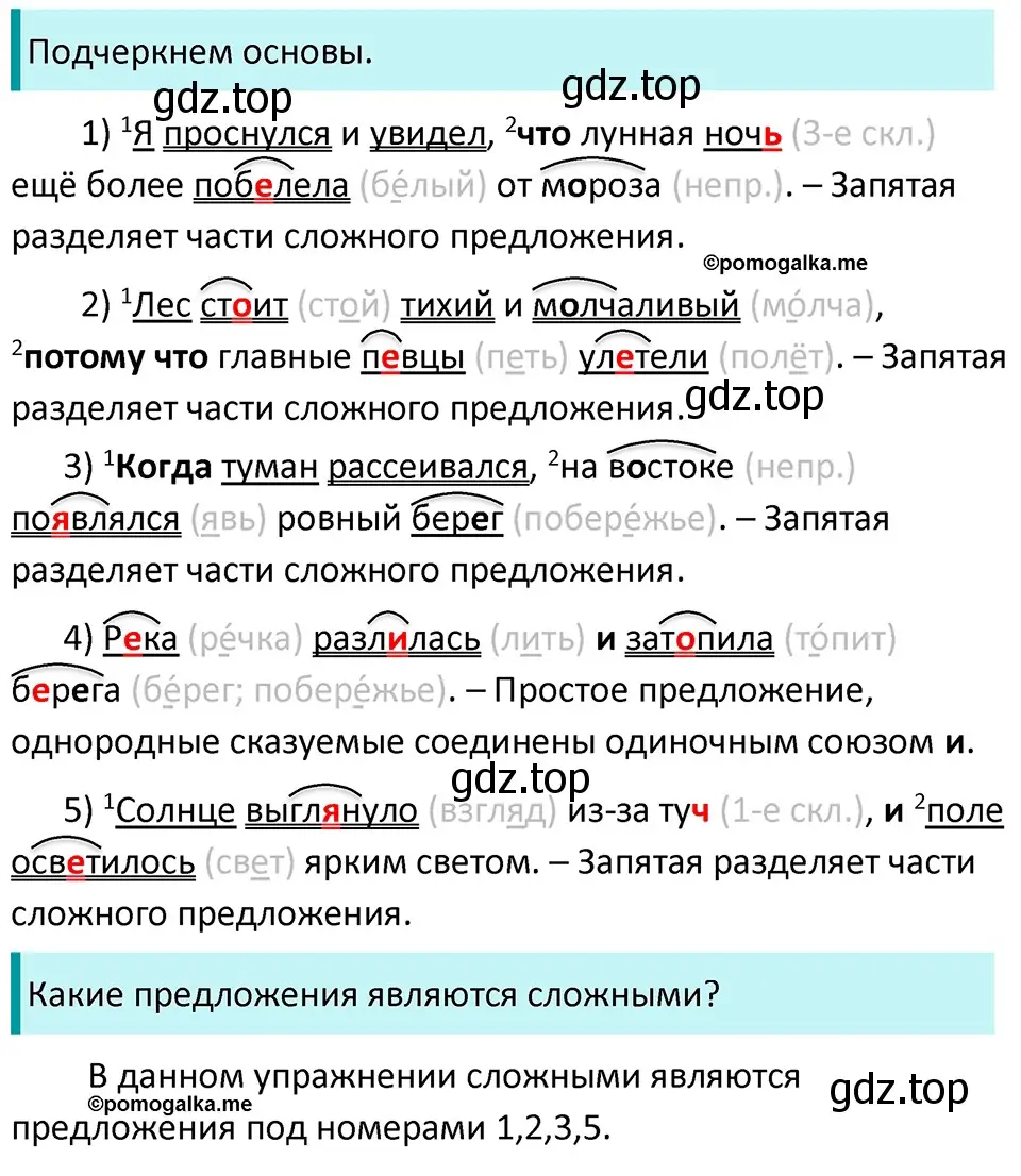 Решение 3. номер 491 (страница 41) гдз по русскому языку 5 класс Разумовская, Львова, учебник 2 часть