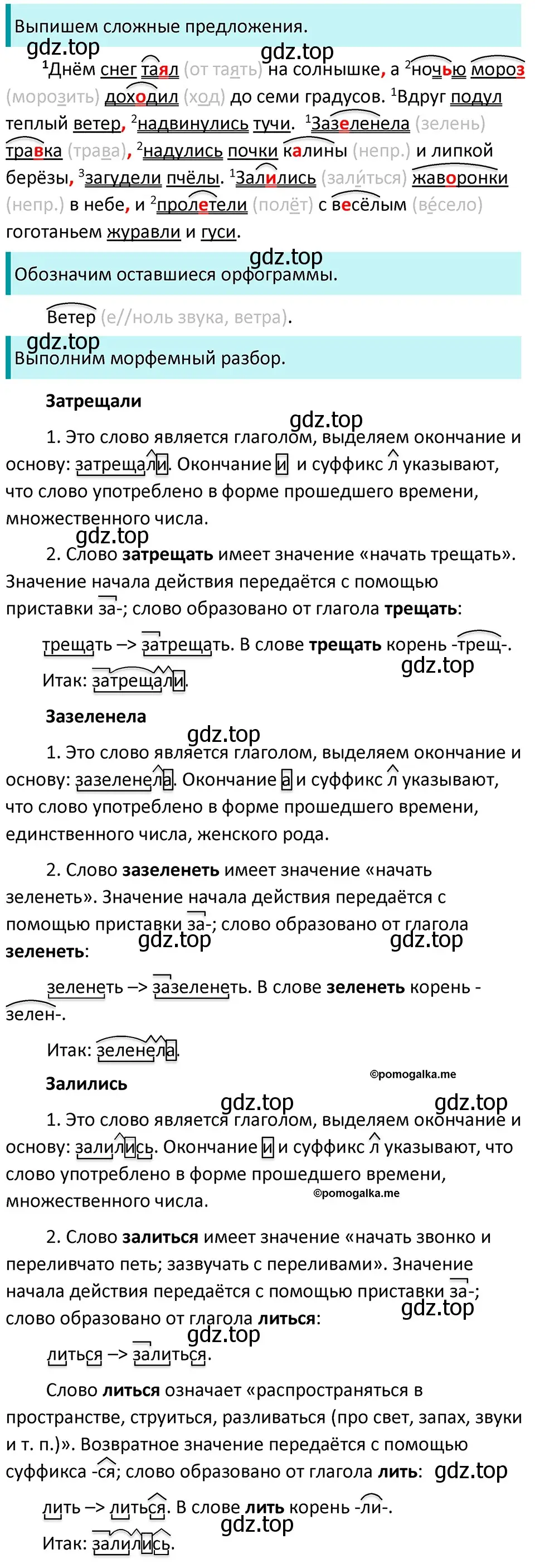 Решение 3. номер 492 (страница 41) гдз по русскому языку 5 класс Разумовская, Львова, учебник 2 часть