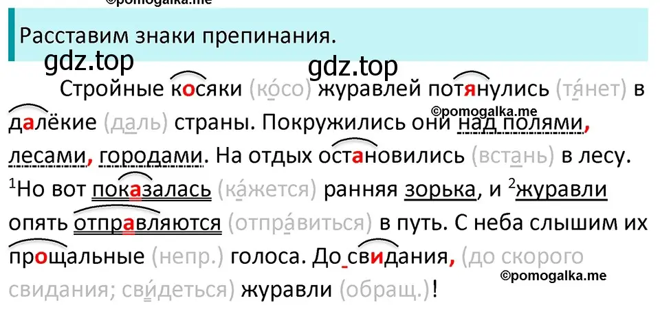 Решение 3. номер 527 (страница 51) гдз по русскому языку 5 класс Разумовская, Львова, учебник 2 часть