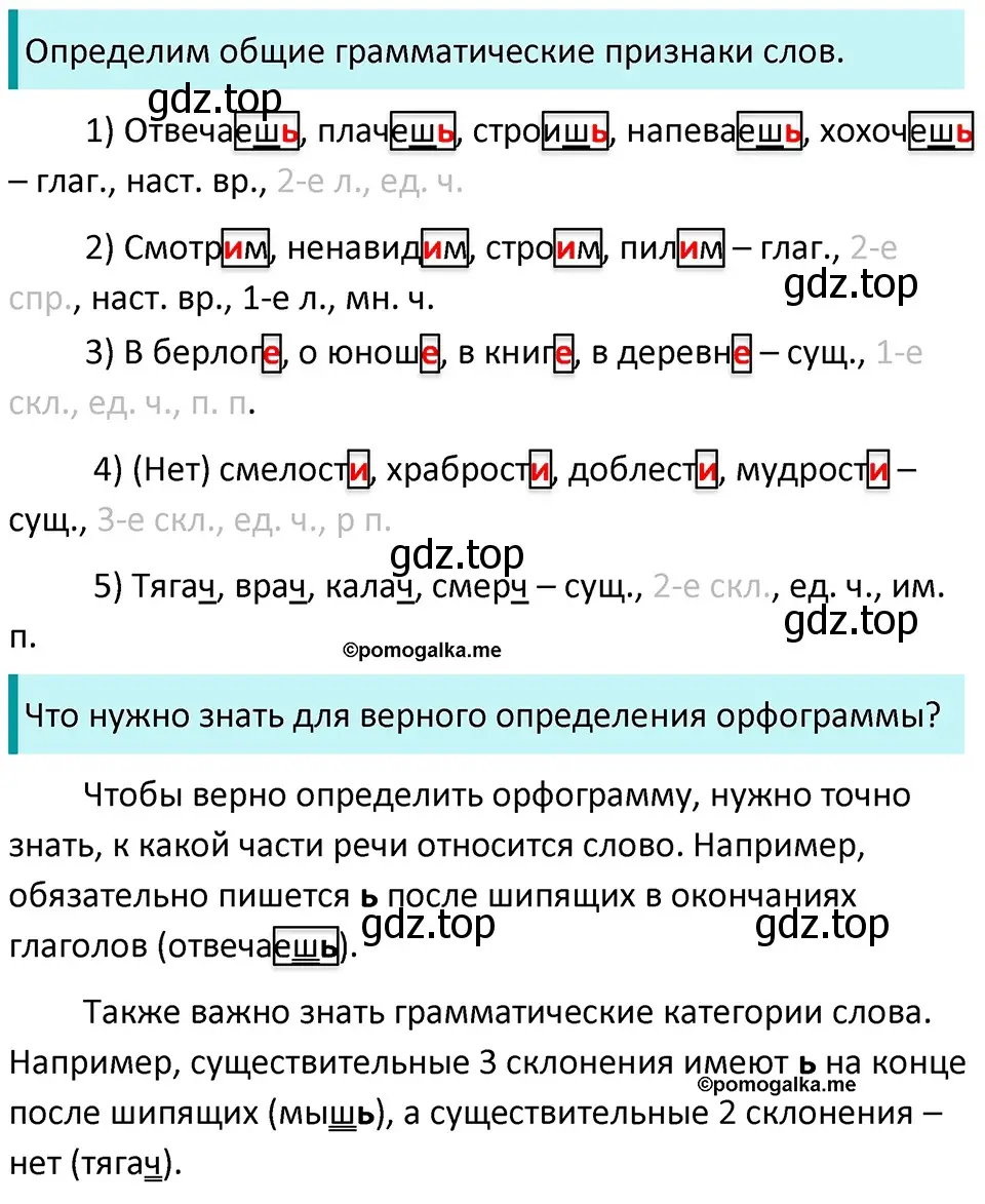 Решение 3. номер 562 (страница 63) гдз по русскому языку 5 класс Разумовская, Львова, учебник 2 часть