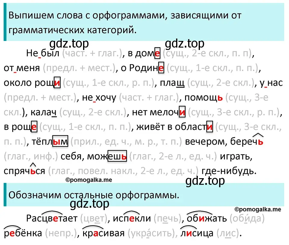 Решение 3. номер 564 (страница 64) гдз по русскому языку 5 класс Разумовская, Львова, учебник 2 часть