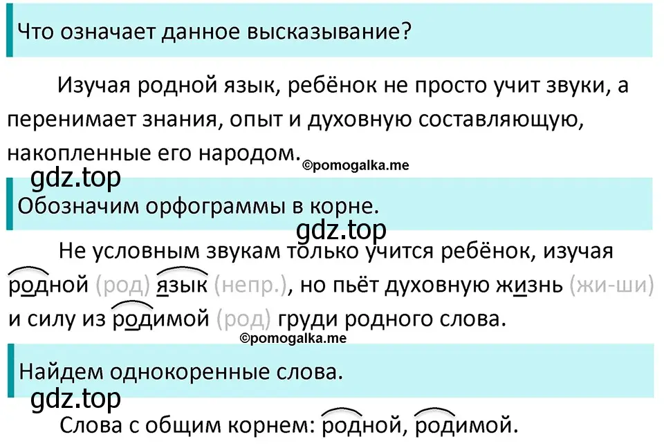 Решение 3. номер 57 (страница 25) гдз по русскому языку 5 класс Разумовская, Львова, учебник 1 часть