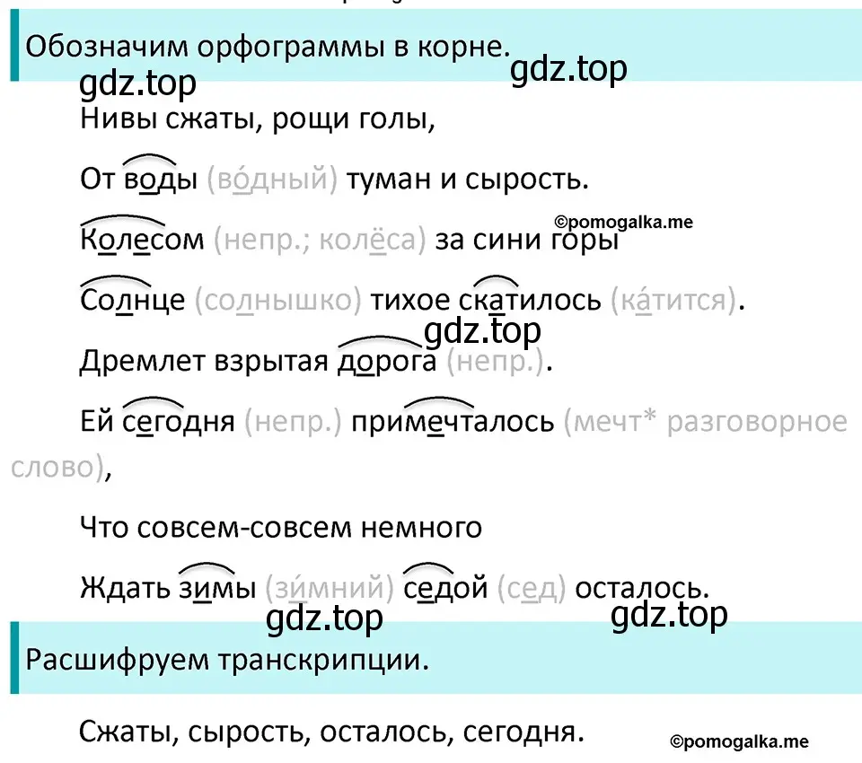 Решение 3. номер 58 (страница 26) гдз по русскому языку 5 класс Разумовская, Львова, учебник 1 часть