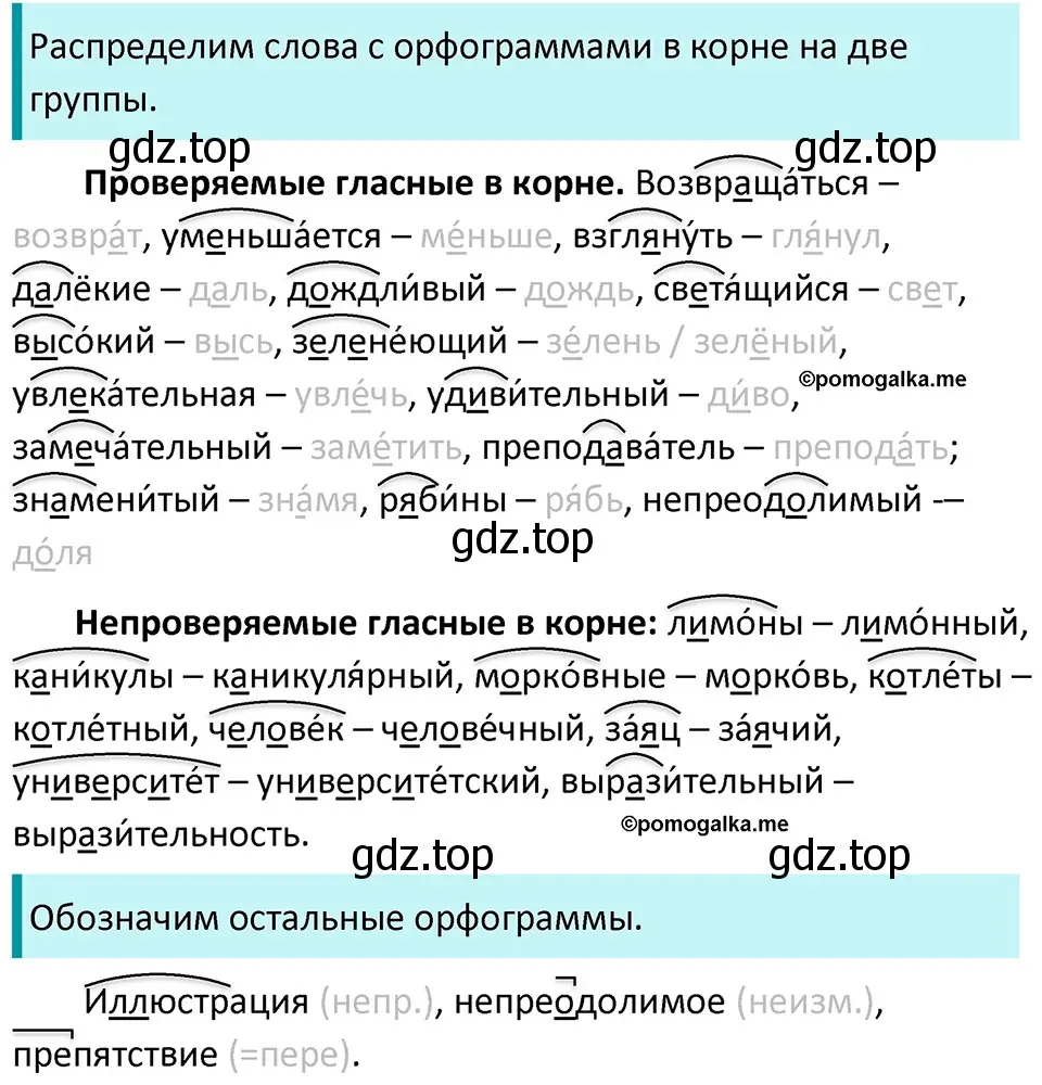 Решение 3. номер 59 (страница 26) гдз по русскому языку 5 класс Разумовская, Львова, учебник 1 часть