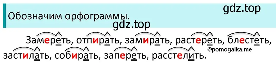 Решение 3. номер 599 (страница 75) гдз по русскому языку 5 класс Разумовская, Львова, учебник 2 часть