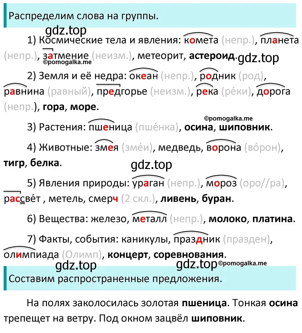 Решение 3. номер 685 (страница 104) гдз по русскому языку 5 класс Разумовская, Львова, учебник 2 часть