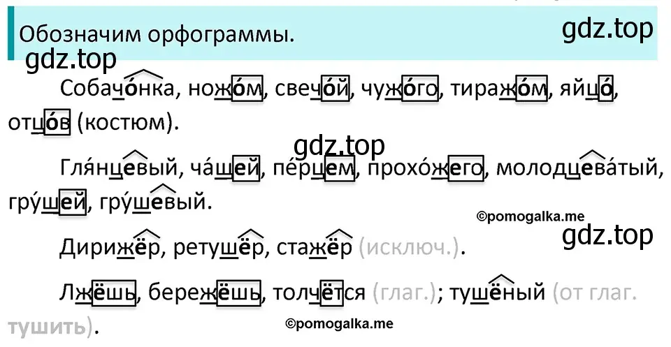 Решение 3. номер 707 (страница 109) гдз по русскому языку 5 класс Разумовская, Львова, учебник 2 часть