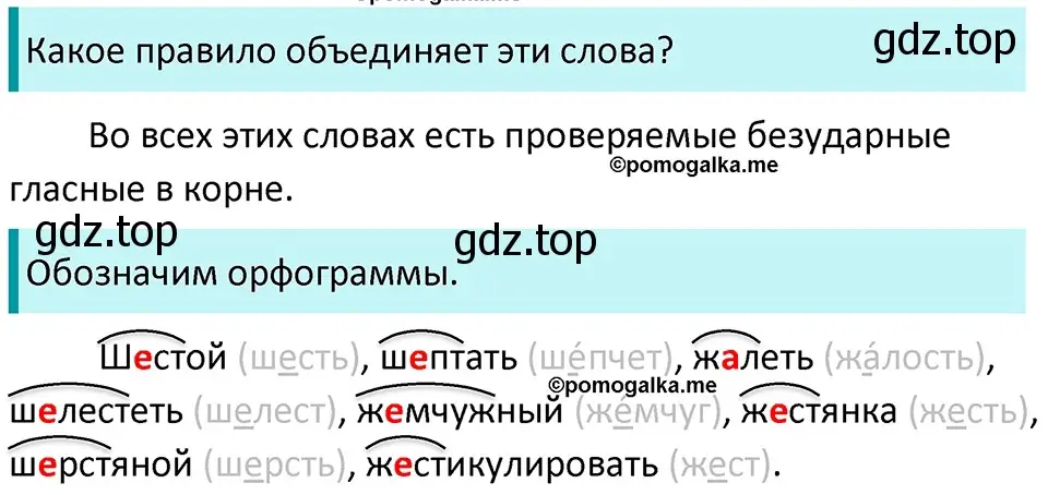 Решение 3. номер 73 (страница 31) гдз по русскому языку 5 класс Разумовская, Львова, учебник 1 часть