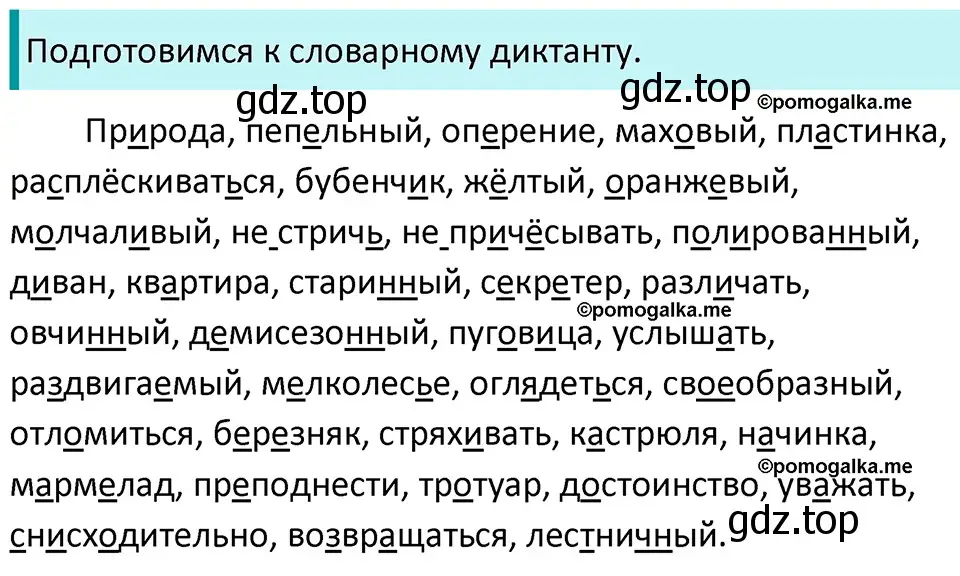 Решение 3. номер 788 (страница 136) гдз по русскому языку 5 класс Разумовская, Львова, учебник 2 часть