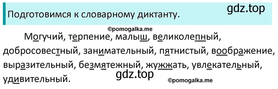 Решение 3. номер 800 (страница 140) гдз по русскому языку 5 класс Разумовская, Львова, учебник 2 часть