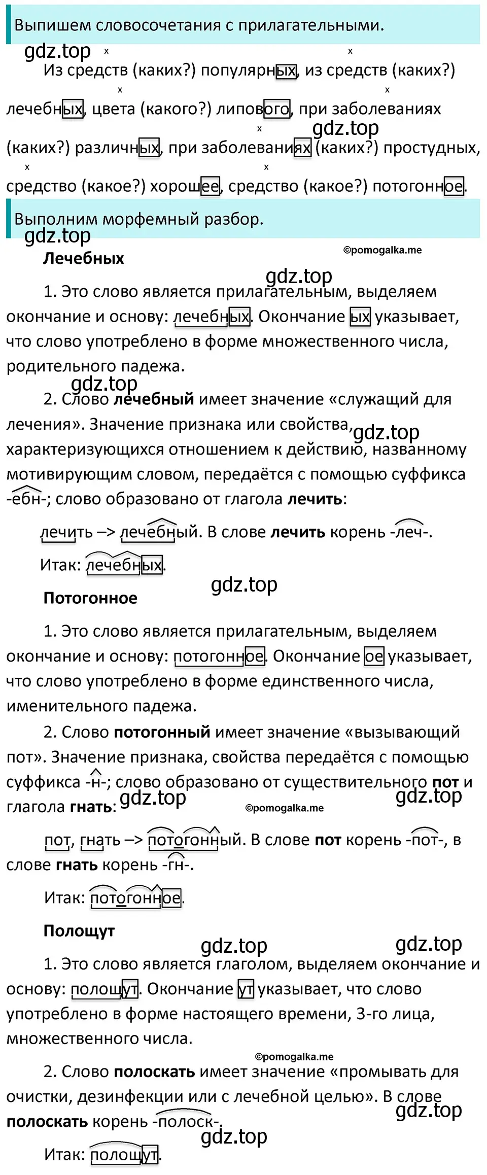 Решение 3. номер 801 (страница 141) гдз по русскому языку 5 класс Разумовская, Львова, учебник 2 часть