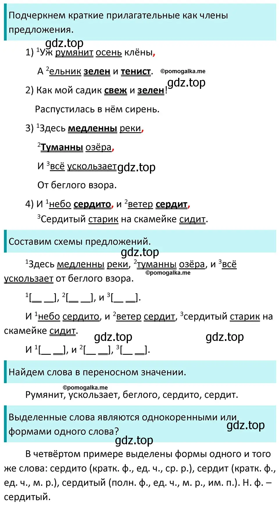 Решение 3. номер 816 (страница 145) гдз по русскому языку 5 класс Разумовская, Львова, учебник 2 часть