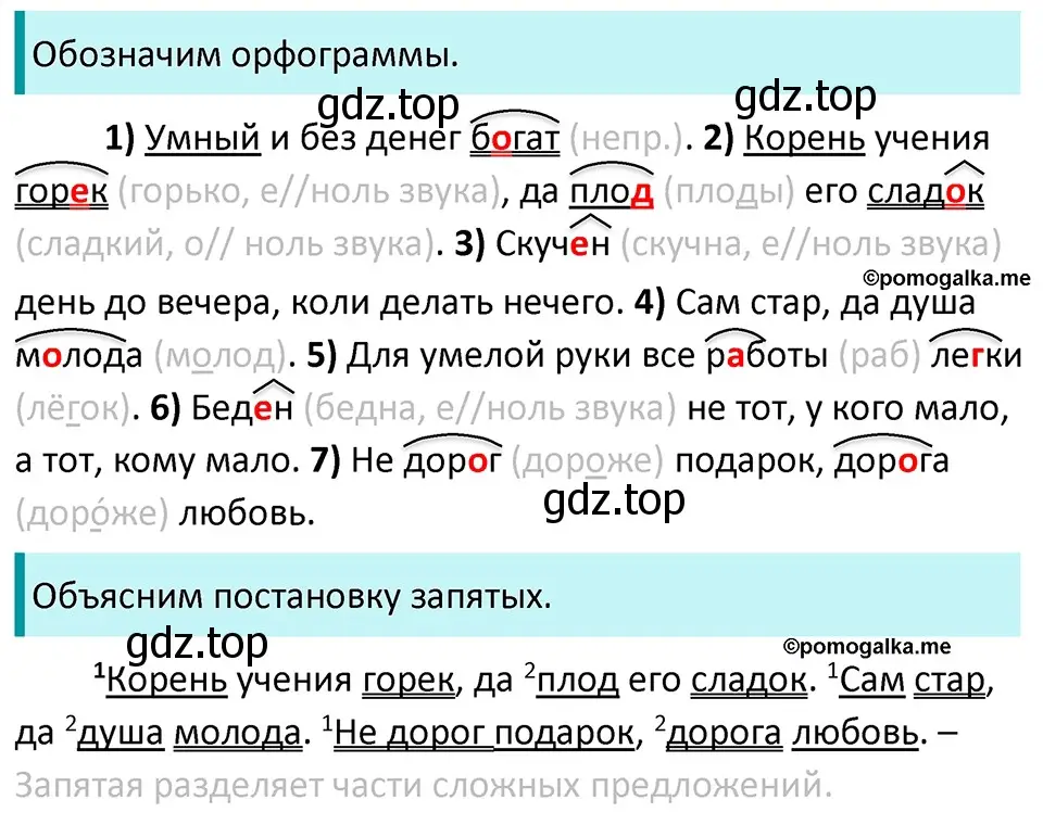 Решение 3. номер 817 (страница 146) гдз по русскому языку 5 класс Разумовская, Львова, учебник 2 часть