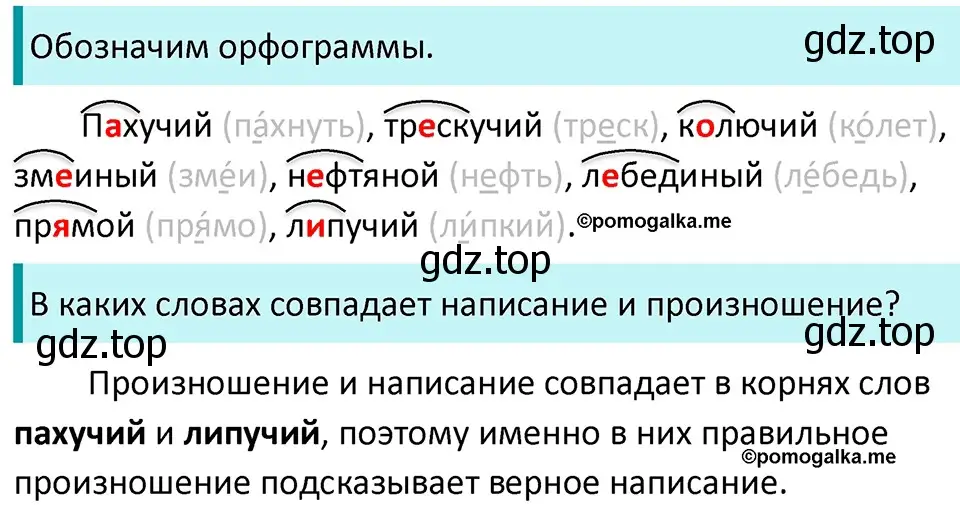 Решение 3. номер 823 (страница 147) гдз по русскому языку 5 класс Разумовская, Львова, учебник 2 часть