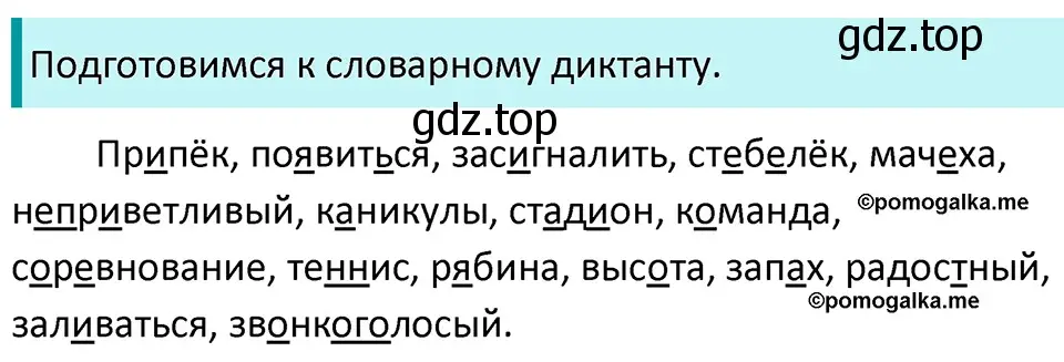 Решение 3. номер 88 (страница 35) гдз по русскому языку 5 класс Разумовская, Львова, учебник 1 часть