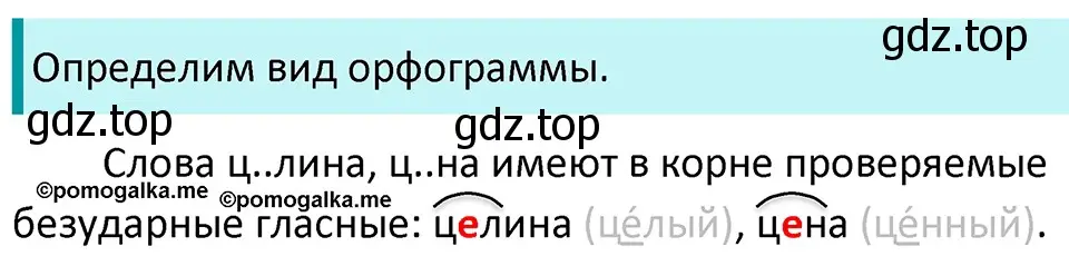 Решение 3. номер 99 (страница 38) гдз по русскому языку 5 класс Разумовская, Львова, учебник 1 часть