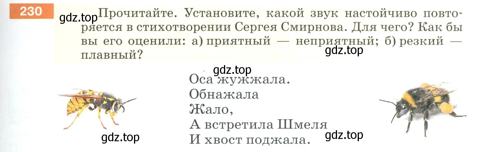 Условие номер 230 (страница 81) гдз по русскому языку 5 класс Разумовская, Львова, учебник 1 часть