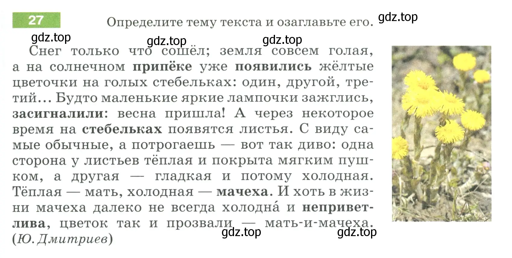 Условие номер 27 (страница 17) гдз по русскому языку 5 класс Разумовская, Львова, учебник 1 часть