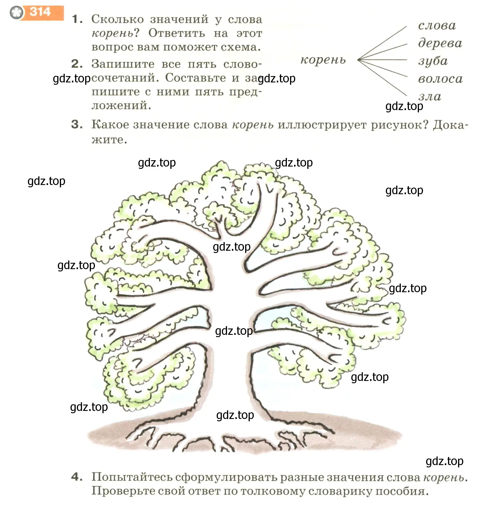 Условие номер 314 (страница 106) гдз по русскому языку 5 класс Разумовская, Львова, учебник 1 часть