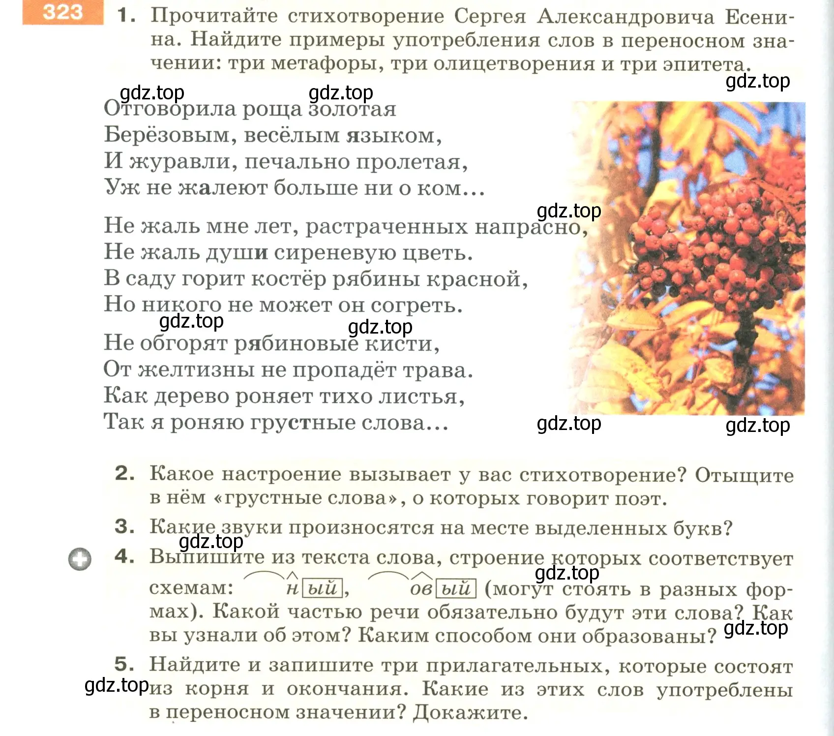 Условие номер 323 (страница 110) гдз по русскому языку 5 класс Разумовская, Львова, учебник 1 часть