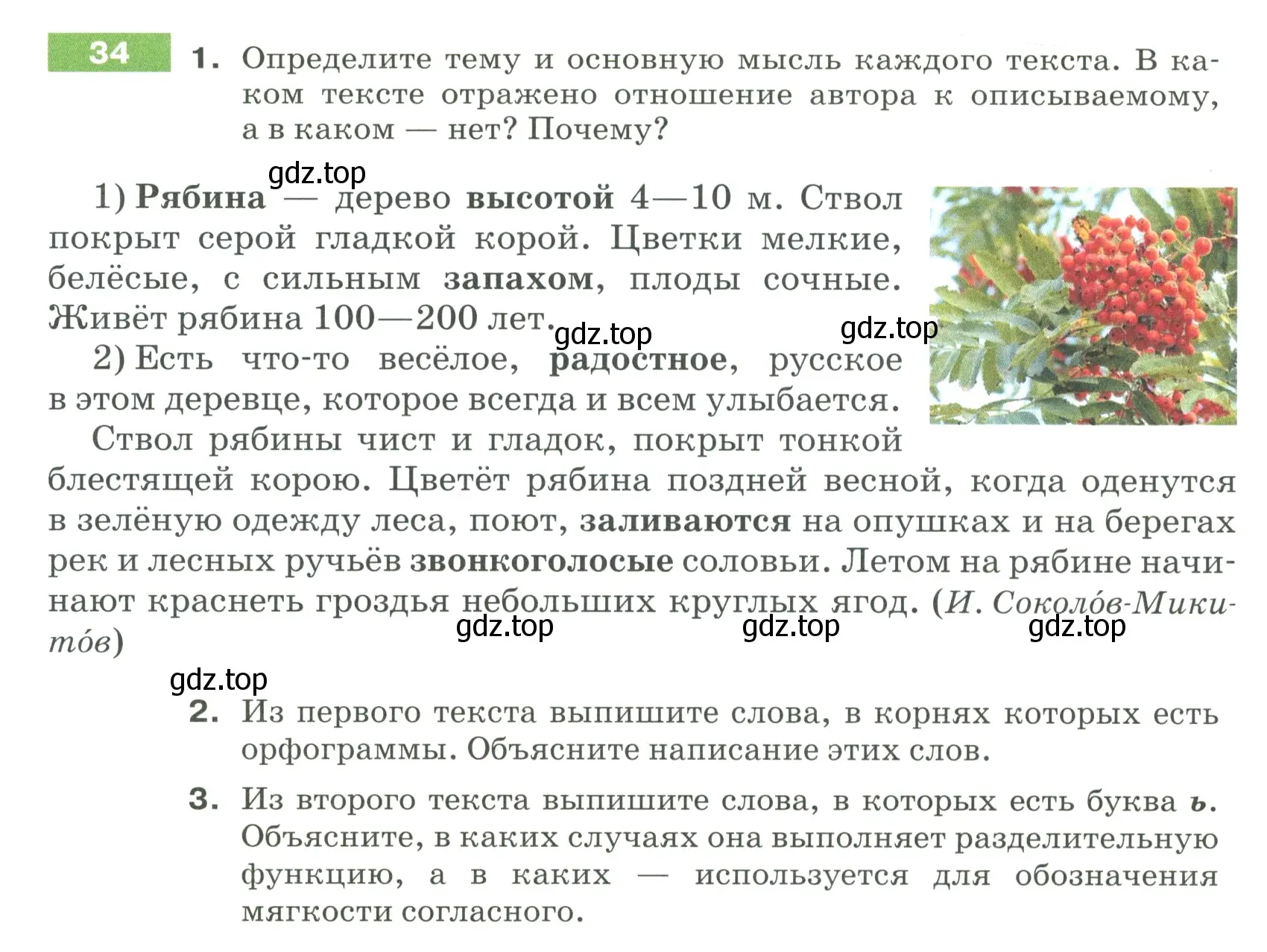 Условие номер 34 (страница 20) гдз по русскому языку 5 класс Разумовская, Львова, учебник 1 часть