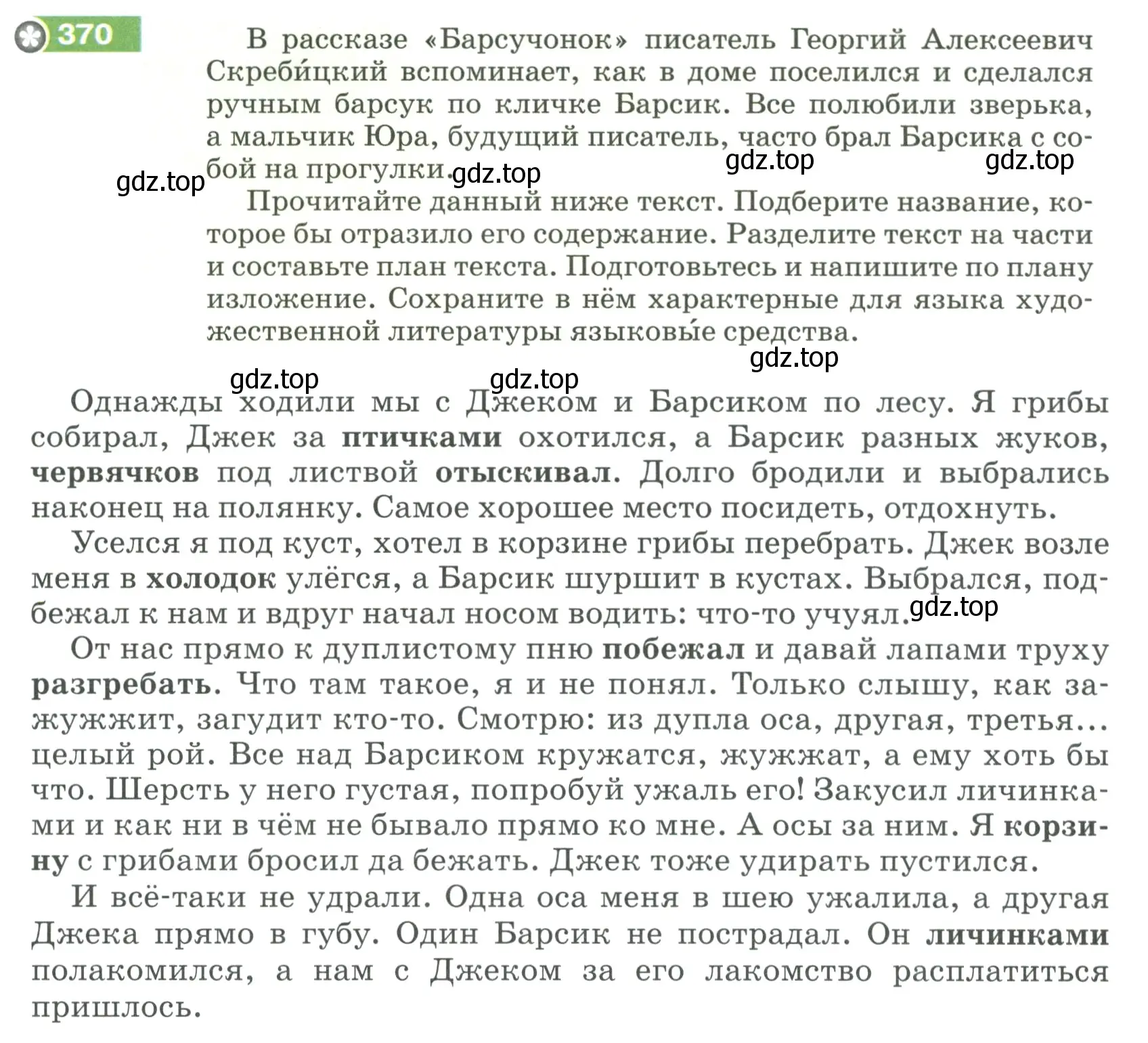 Условие номер 370 (страница 127) гдз по русскому языку 5 класс Разумовская, Львова, учебник 1 часть