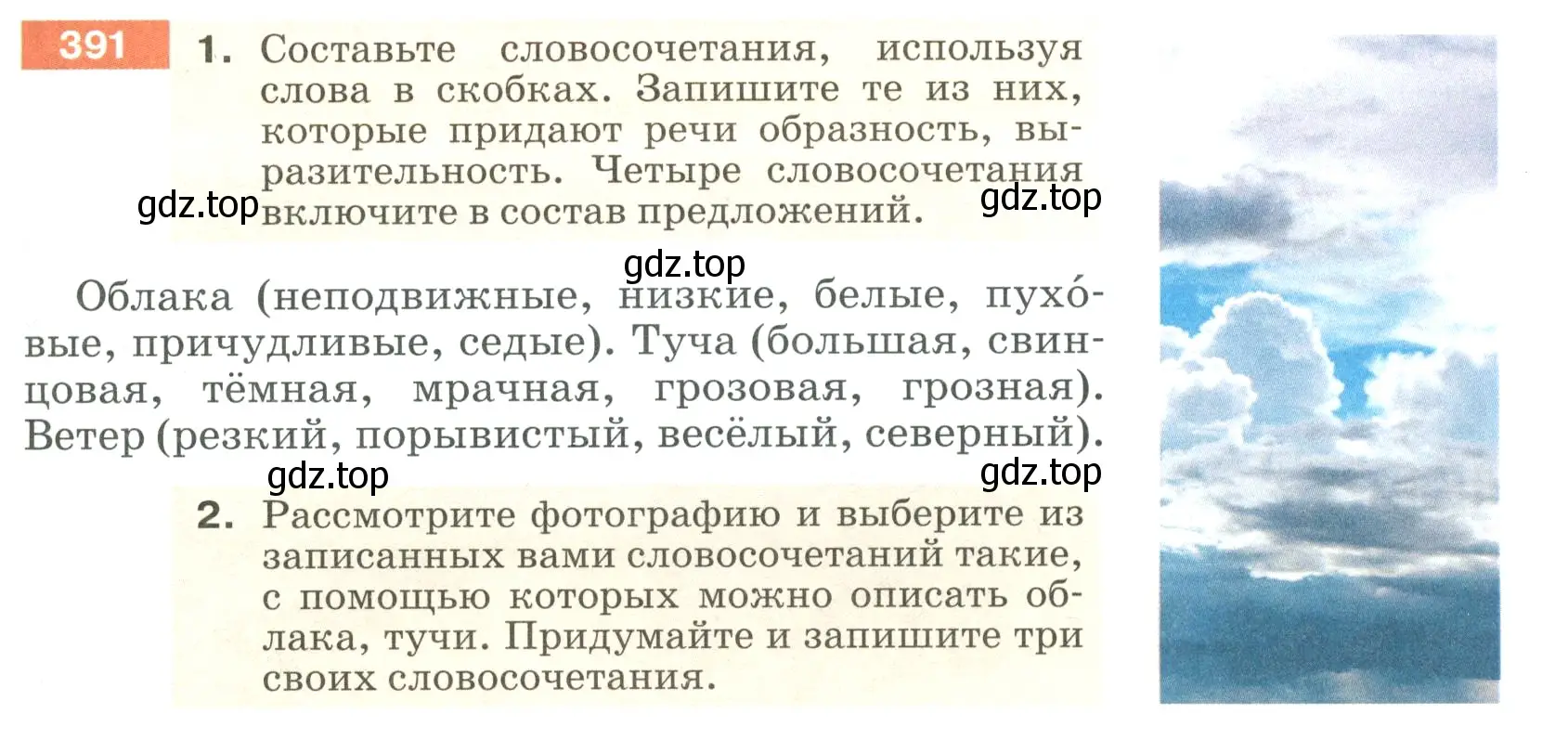 Условие номер 391 (страница 9) гдз по русскому языку 5 класс Разумовская, Львова, учебник 2 часть