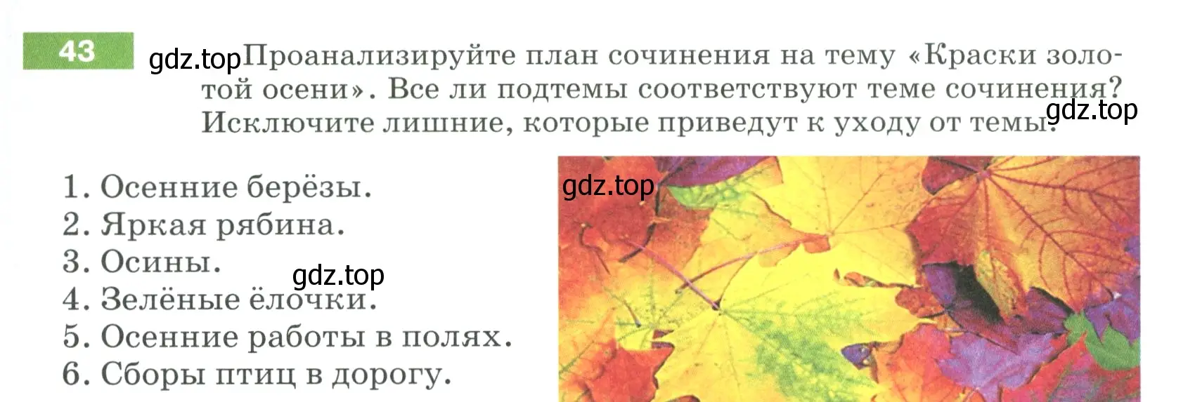 Условие номер 43 (страница 25) гдз по русскому языку 5 класс Разумовская, Львова, учебник 1 часть