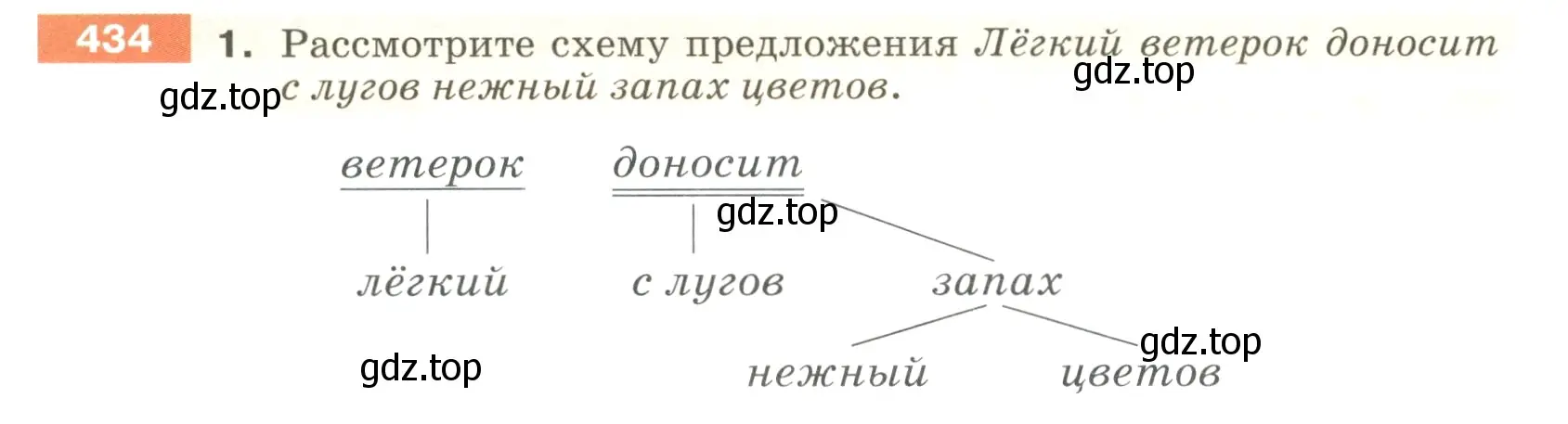 Условие номер 434 (страница 24) гдз по русскому языку 5 класс Разумовская, Львова, учебник 2 часть