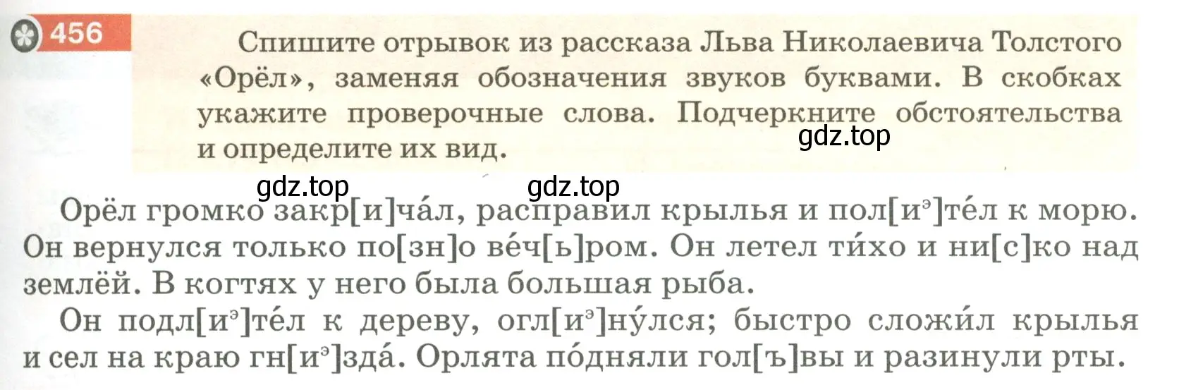 Условие номер 456 (страница 31) гдз по русскому языку 5 класс Разумовская, Львова, учебник 2 часть