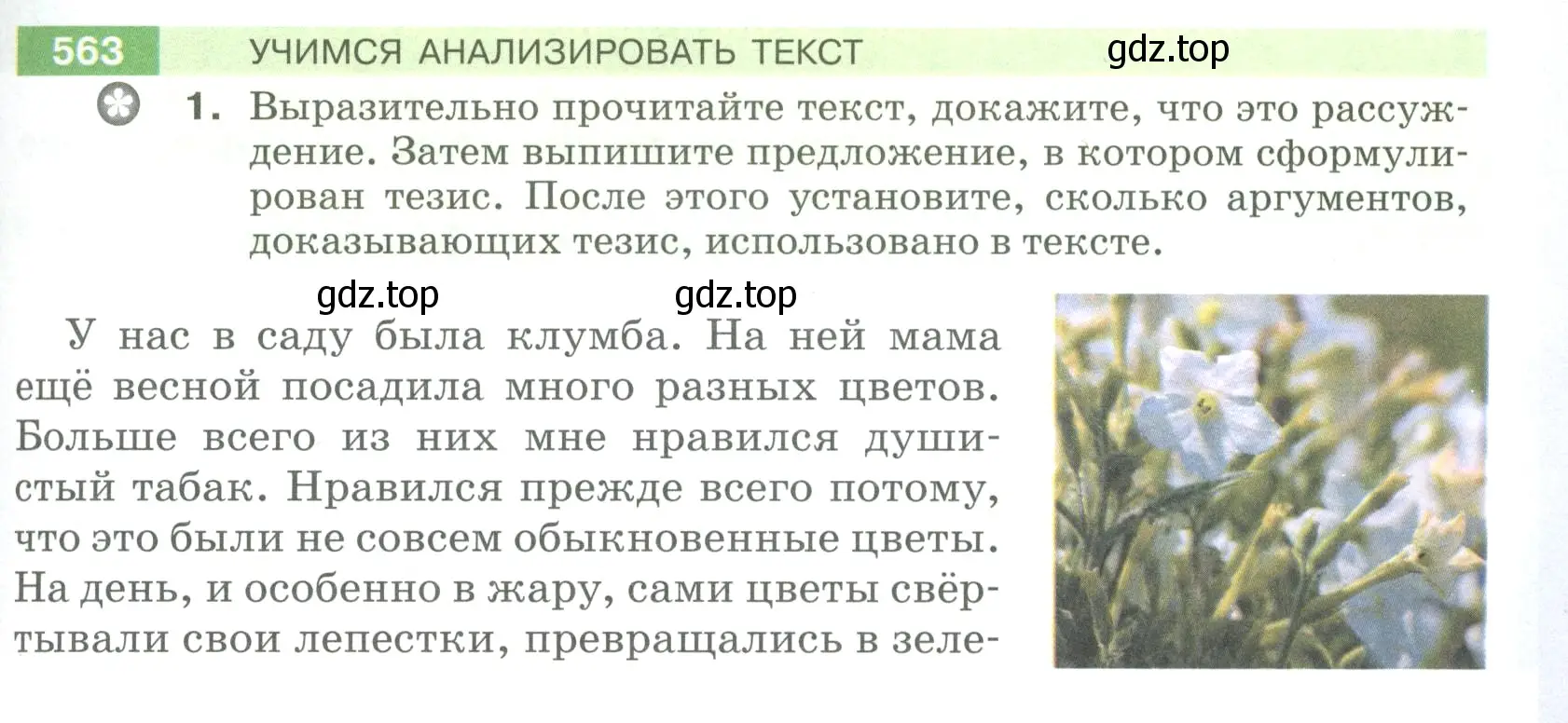 Условие номер 563 (страница 65) гдз по русскому языку 5 класс Разумовская, Львова, учебник 2 часть
