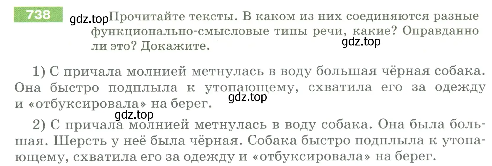 Условие номер 738 (страница 126) гдз по русскому языку 5 класс Разумовская, Львова, учебник 2 часть