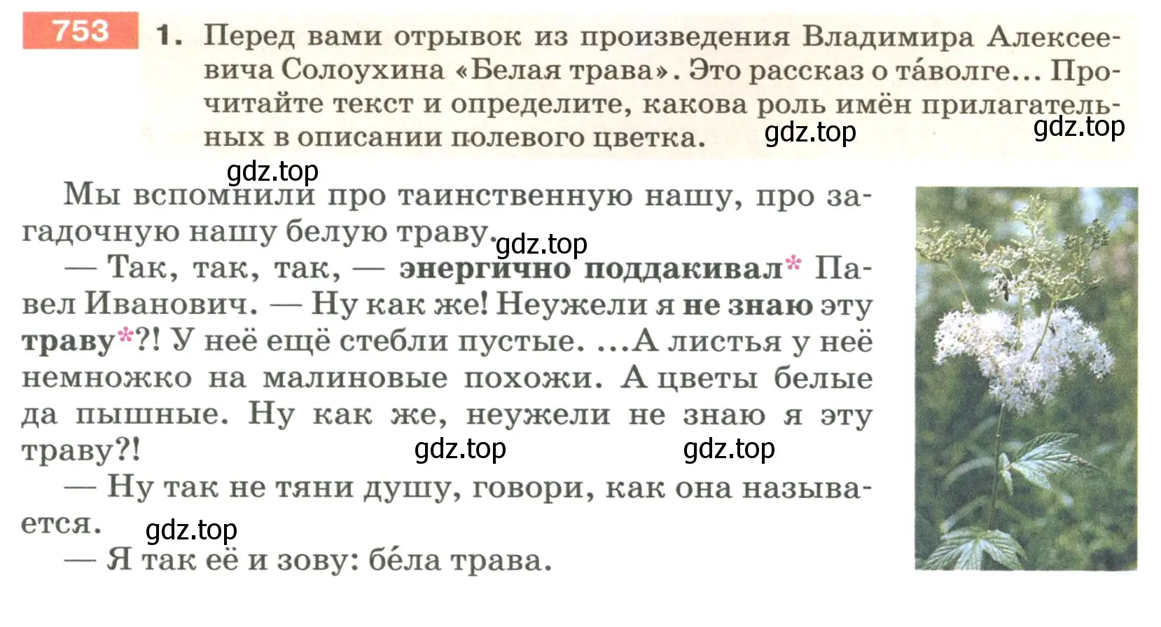 Условие номер 753 (страница 132) гдз по русскому языку 5 класс Разумовская, Львова, учебник 2 часть