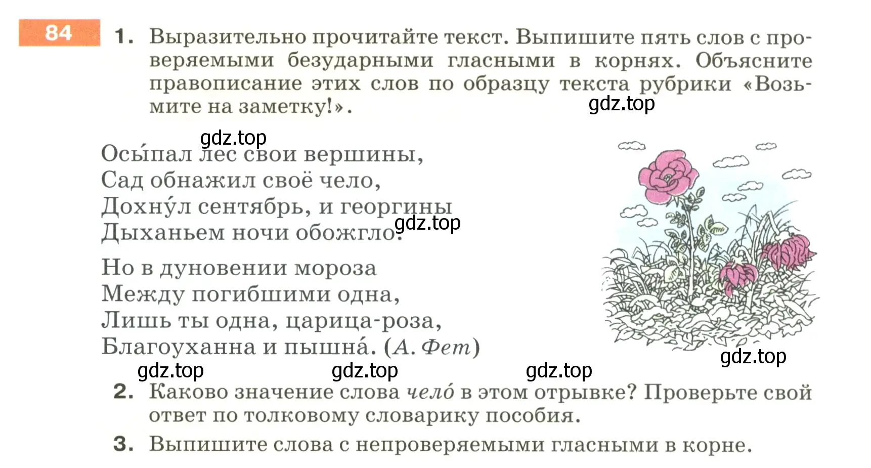 Условие номер 84 (страница 37) гдз по русскому языку 5 класс Разумовская, Львова, учебник 1 часть