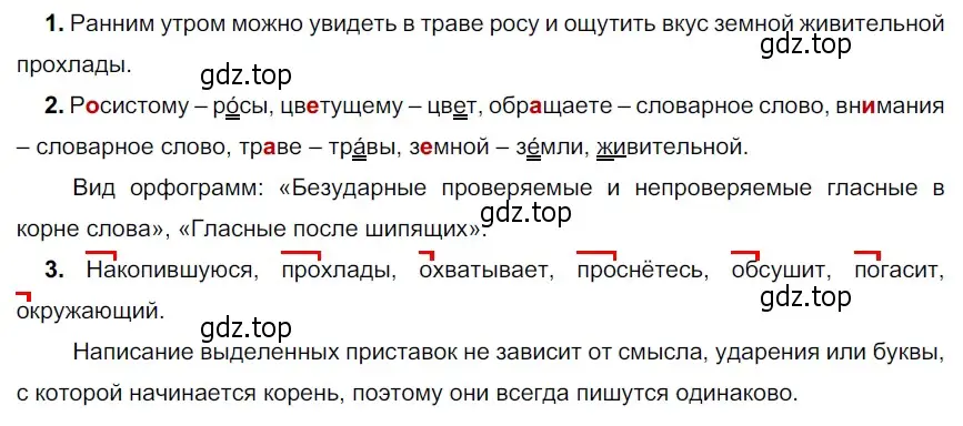 Решение 3. номер 284 (страница 97) гдз по русскому языку 5 класс Разумовская, Львова, учебник 1 часть