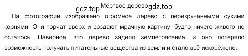 Решение 3. номер 36 (страница 20) гдз по русскому языку 5 класс Разумовская, Львова, учебник 1 часть