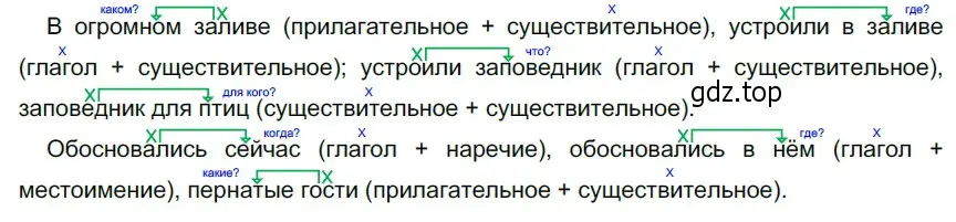 Решение 3. номер 408 (страница 16) гдз по русскому языку 5 класс Разумовская, Львова, учебник 2 часть